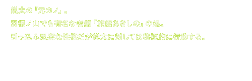 鋭太の「元カノ」。
					羽根ノ山でも有名な老舗「旅館あきしの」の娘。
					引っ込み思案な性格だが鋭太に対しては積極的に行動する。
					